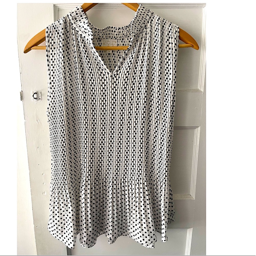 Accordion Pleated Sleeveless Blouse NWOT